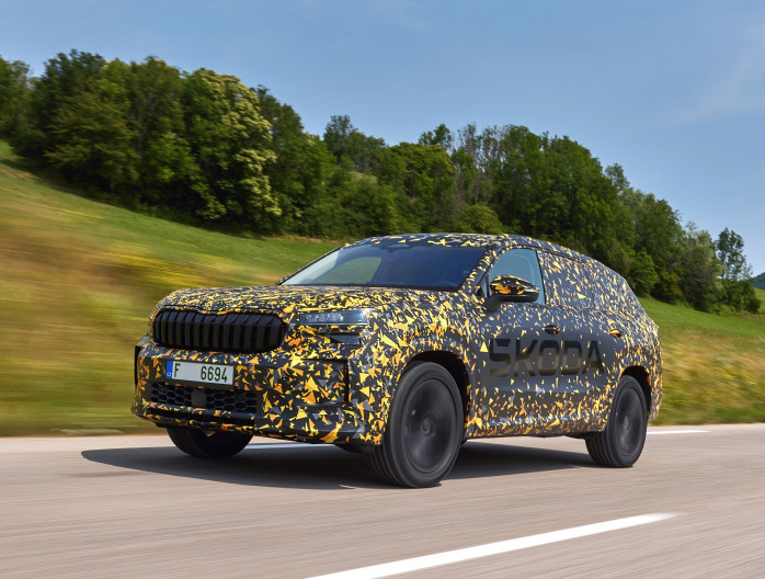 Nieuwe Kodiaq