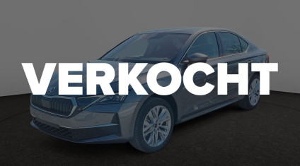 skoda octavia grijs