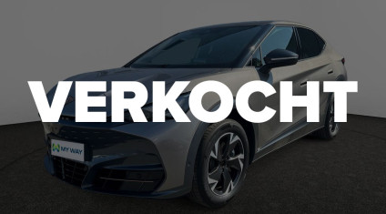 Cupra Tavascan Grijs Verkocht overlay