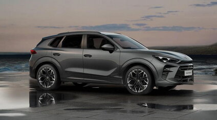 Cupra Terramar Grijs