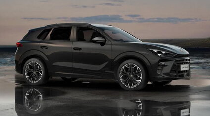 Cupra Terramar zwart
