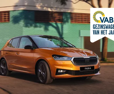 skoda fabia city