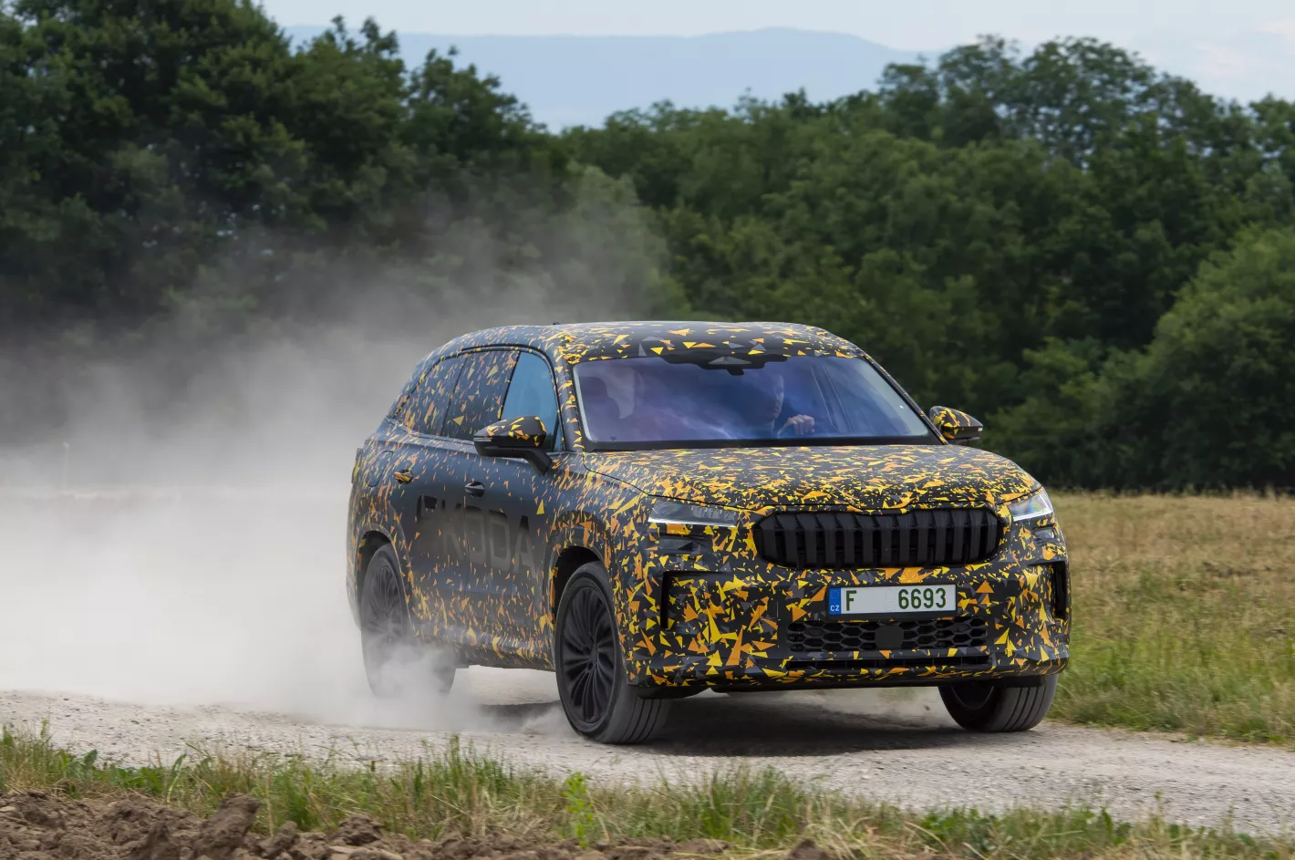 Nieuwe Kodiaq