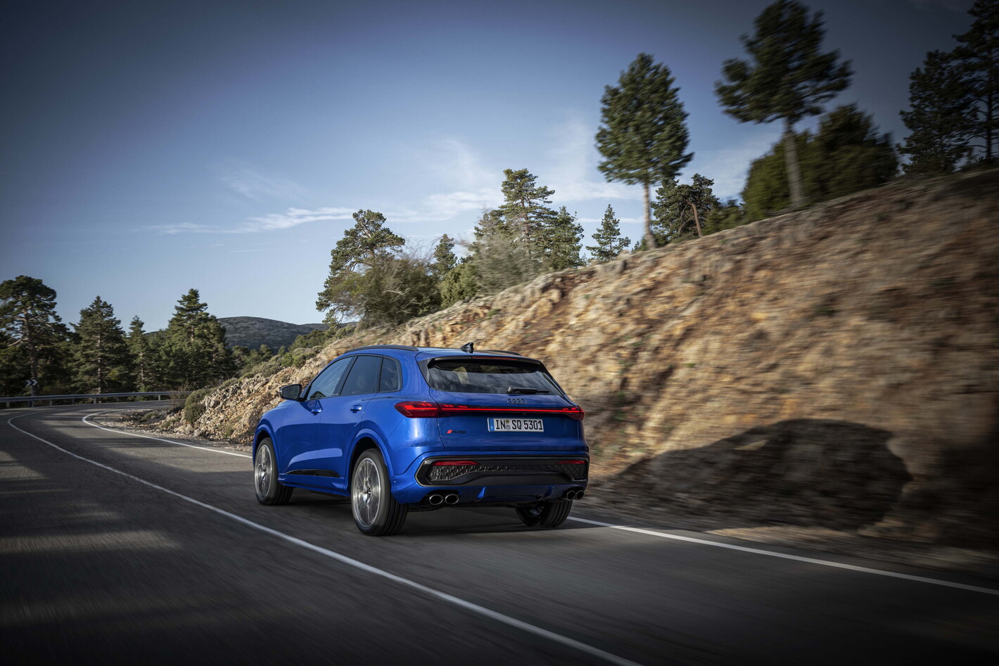 Groep Thoen Audi SQ5 exterieur landscape achterkant